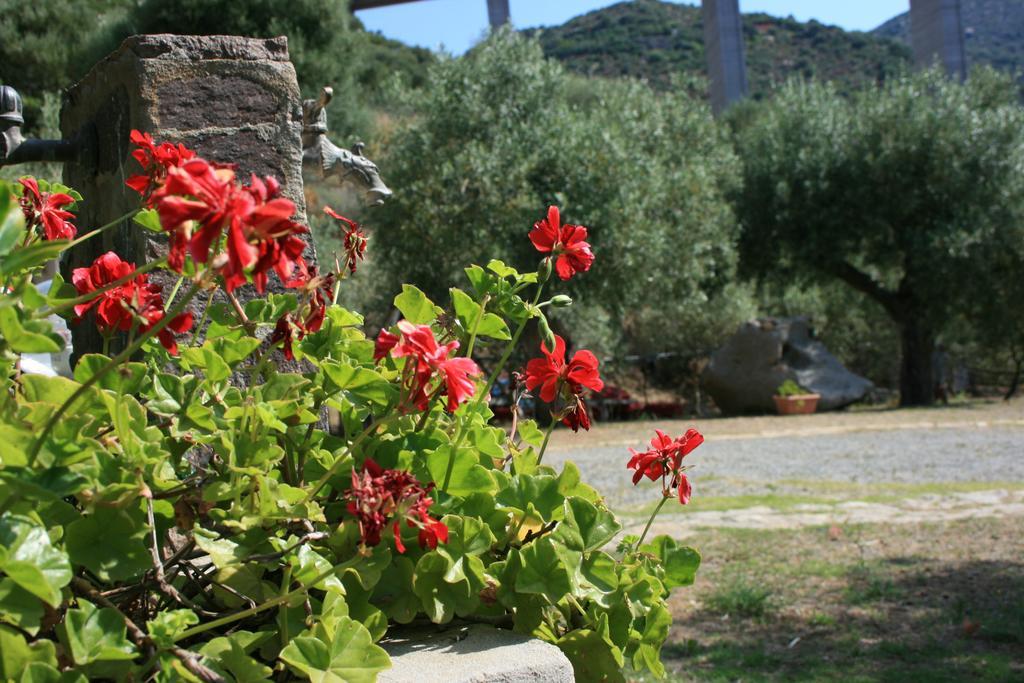 Sumindulau Bed & Breakfast Torre delle Stelle Eksteriør bilde